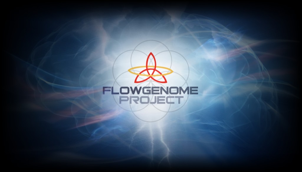 flow genome project