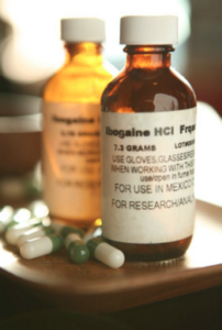The Ibogaine Experience – Treating Addiction with Alternative Medicine: #289