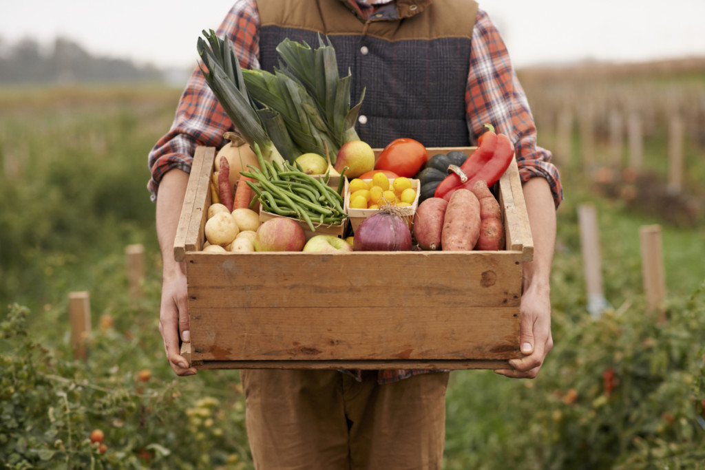 Farmer carrying a box of fresh vegetables