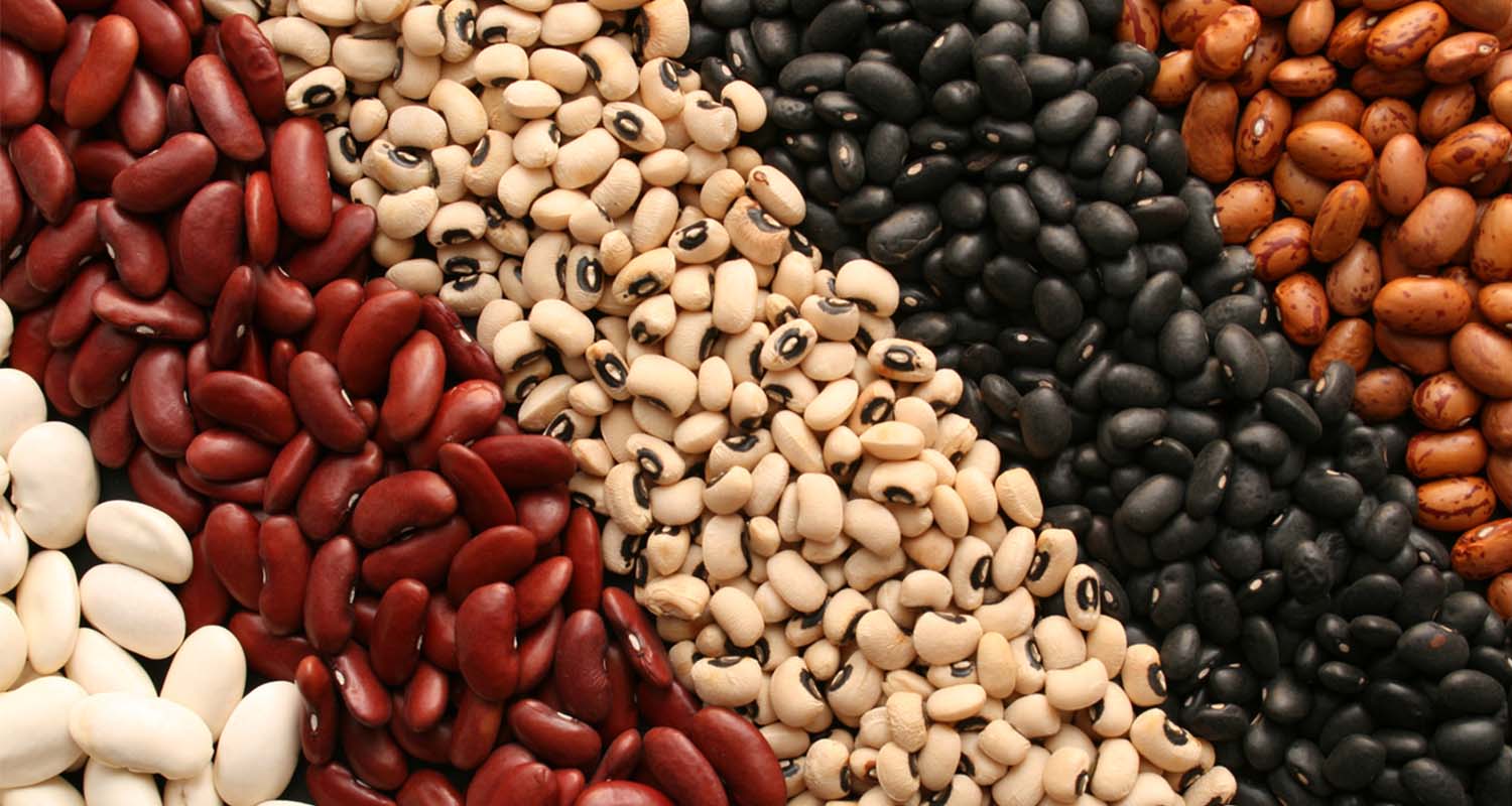 Foods That Cause Gas beans
