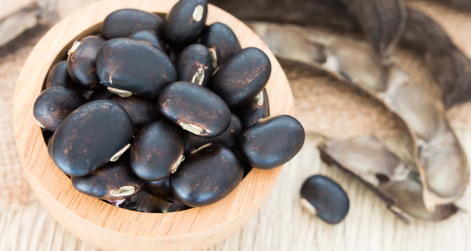 Mucuna Pruriens: Discover the Benefits of this Mood-Boosting Productivity  Supplement