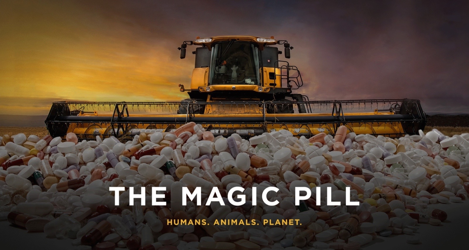 Keto Film “The Magic Pill” Slammed For “Harmful” Ideas. Separate Fact From Fiction