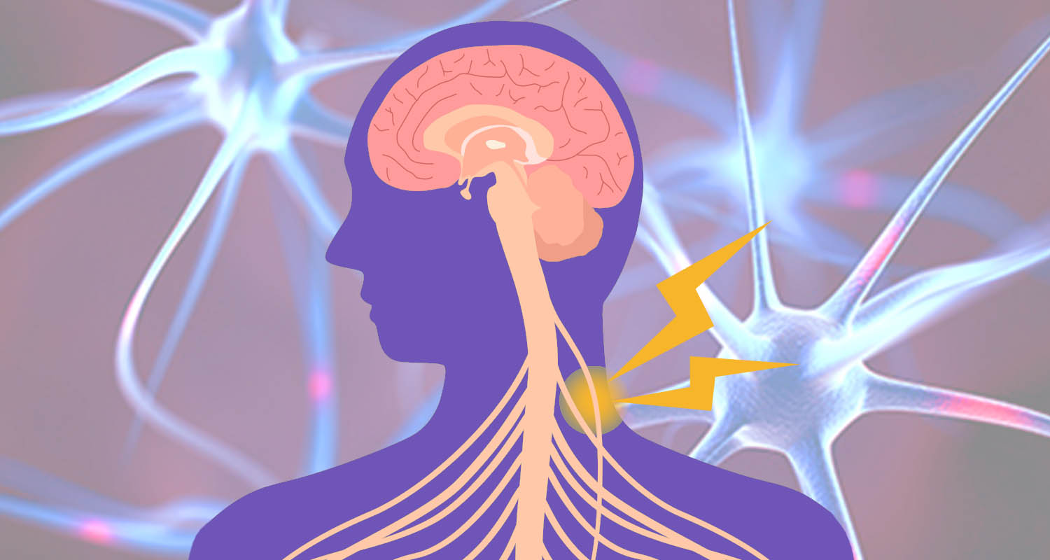 Stimulate Your Vagus Nerve to Improve Memory, Says New Study