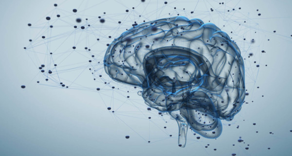This Is Your Brain on Coffee (Plus, a | Dave Asprey
