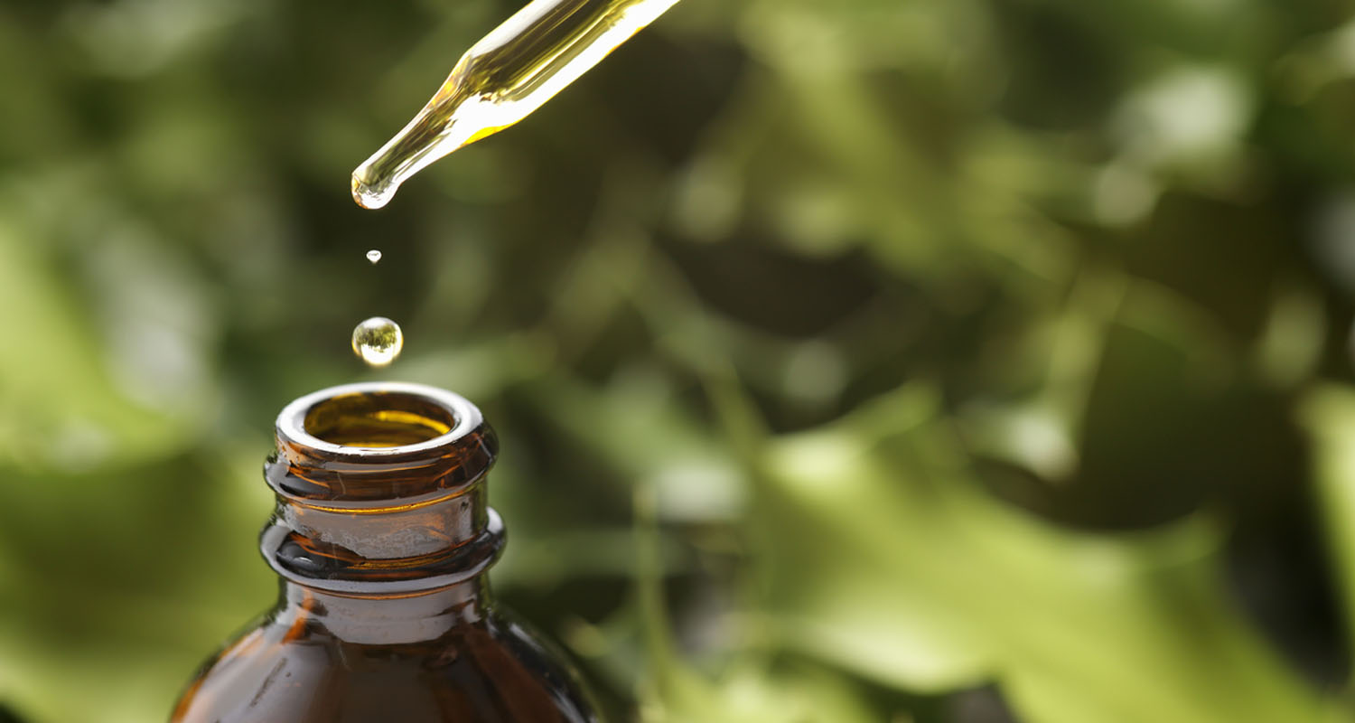 Kava Why Nature's Xanax Is Making a Comeback