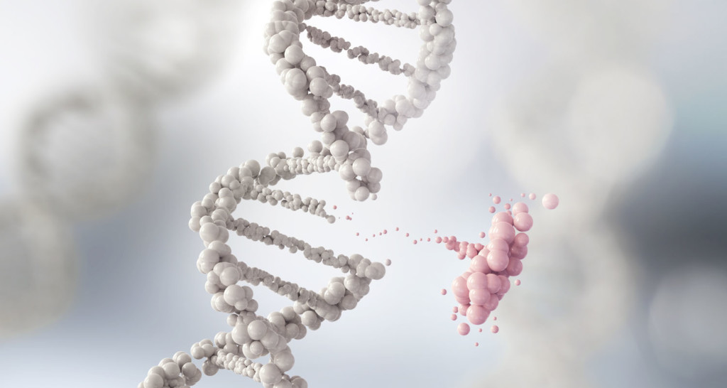gene mutation in dna concept