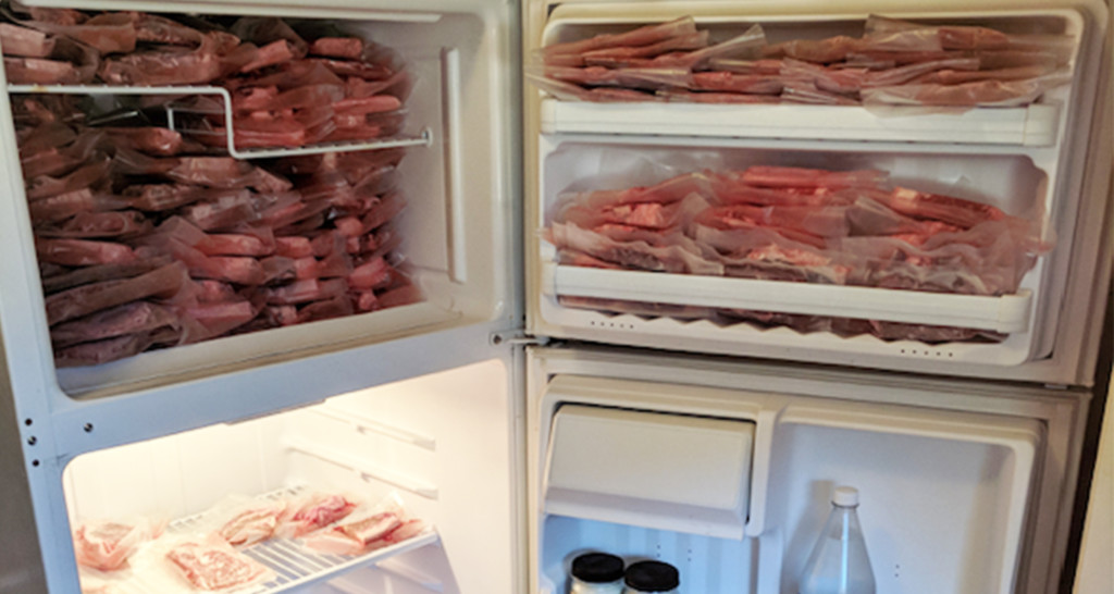 Steve Omohundro's freezer