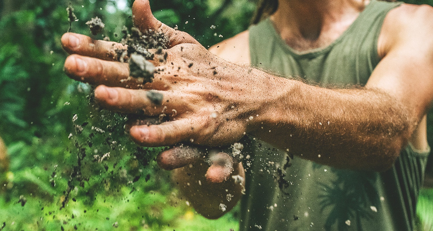 Can Dirt Double as an Antidepressant? The Mood-Lifting Benefits of Soil Microbes
