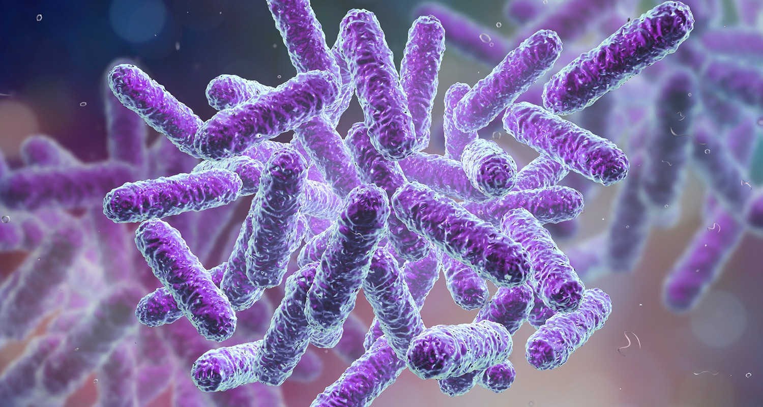 gut microbes affect skin conditions like eczema