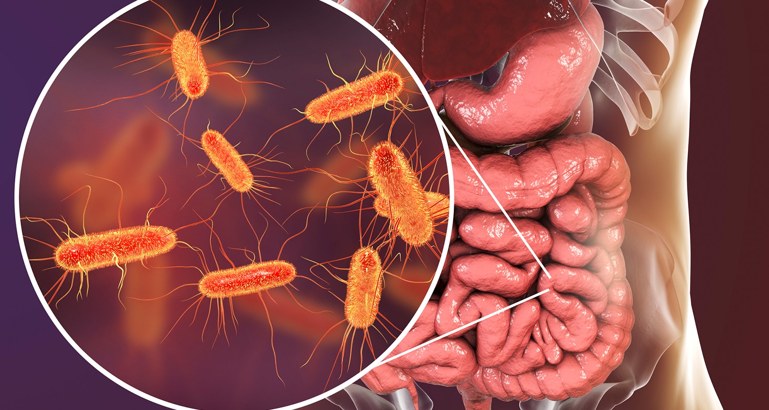 Como eliminar bacterias malas del intestino