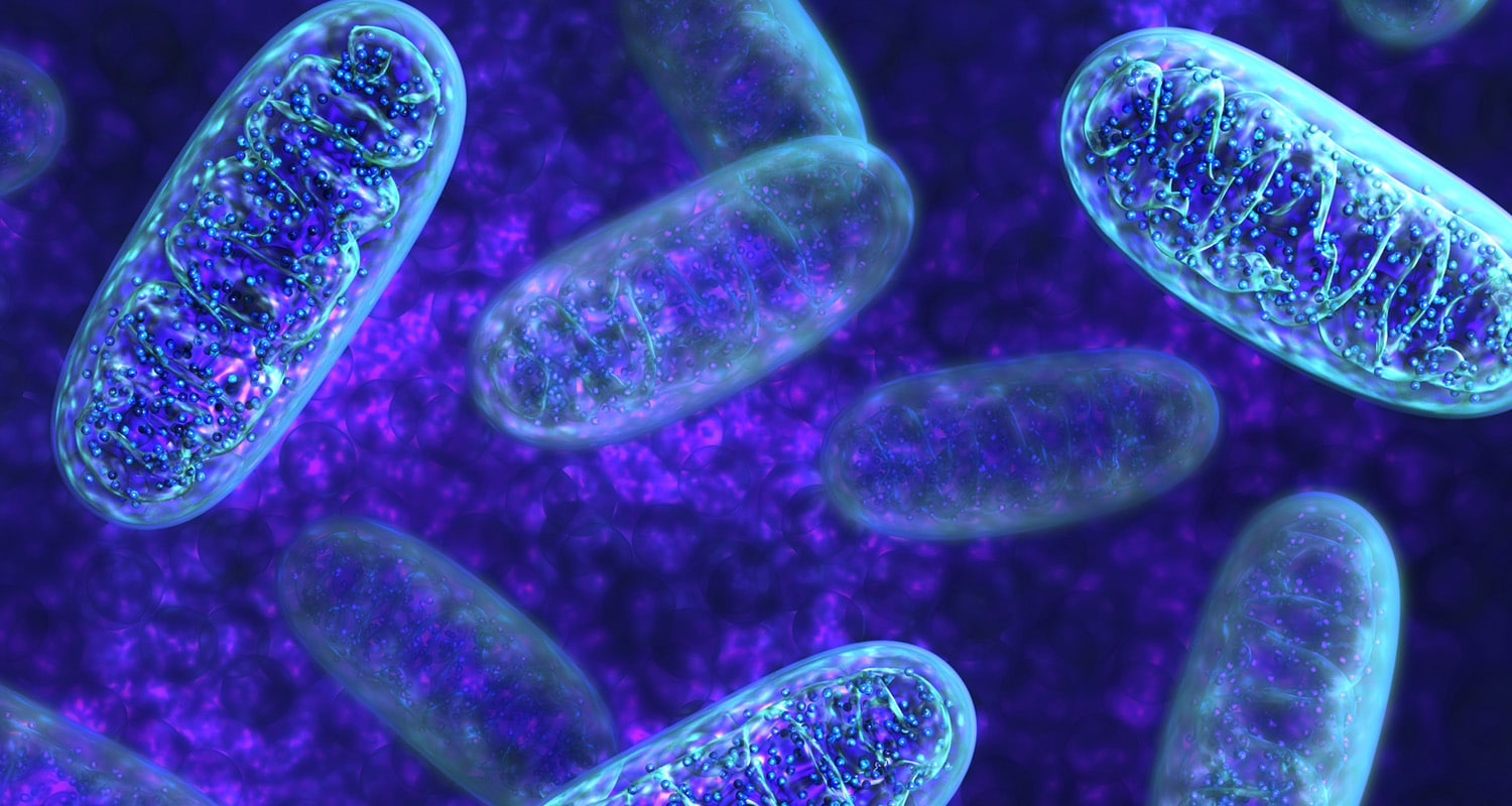 How Boosting Your Brain Mitochondria Can Ease Depression
