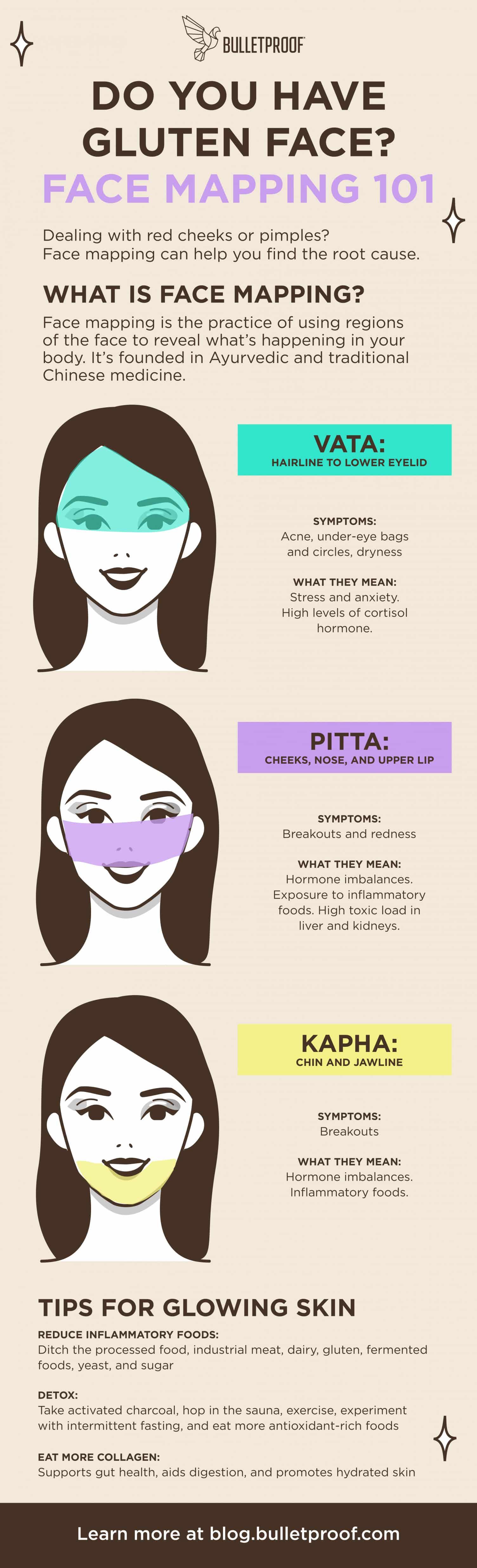Face mapping infographic