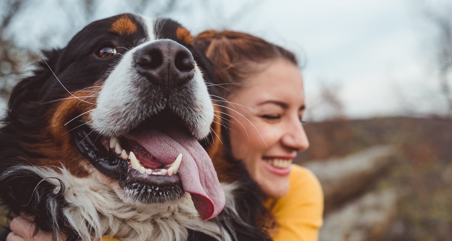 Petting a Dog or Cat For Just 10 Minutes Lowers Stress, Finds Study