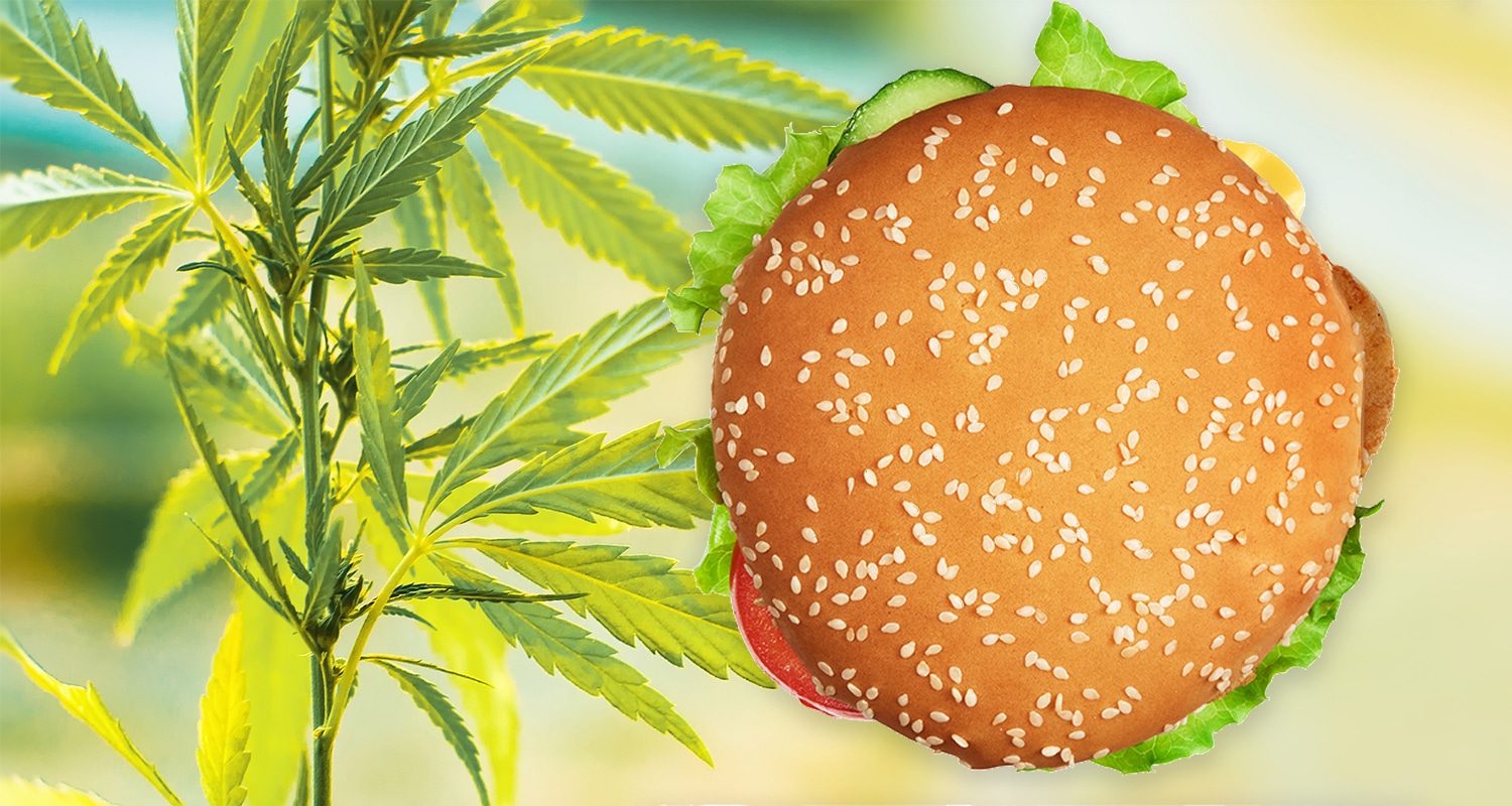 Carl’s Jr. Now Has CBD Burgers — Here’s Why Fast Food Edibles Won’t Work