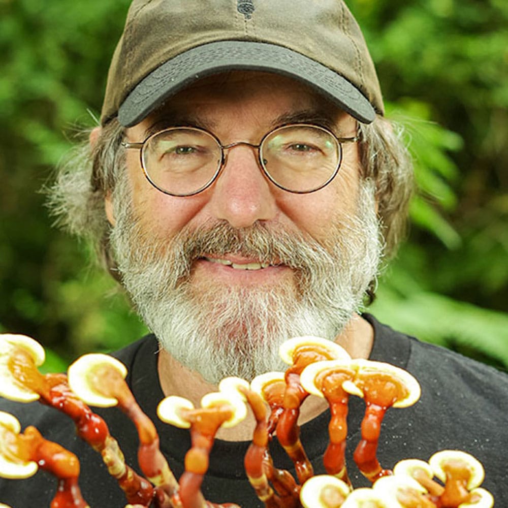 Mycelium Just Might Save the Bees, And Us – Paul Stamets – #624
