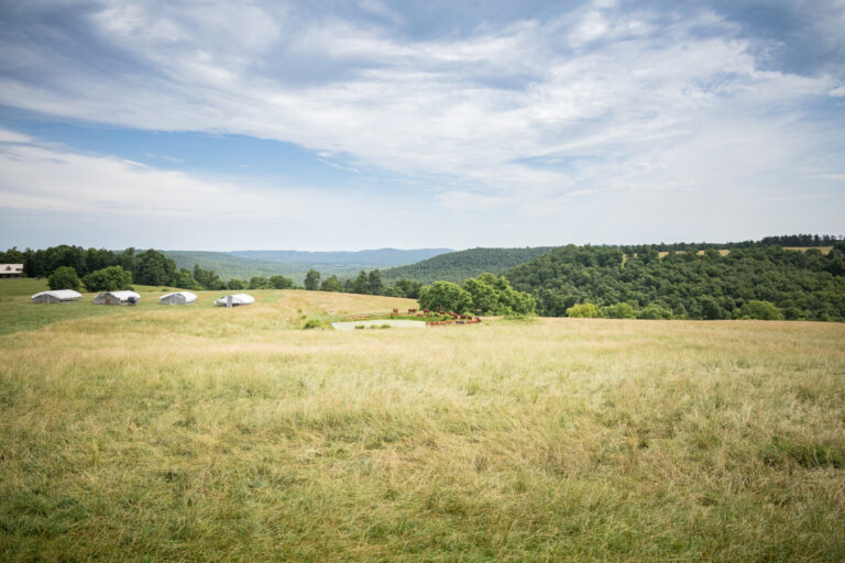 Falling Sky Farm View