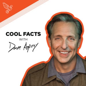 Mini-Episode: Cool Facts Friday #14