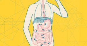 10 Signs You Have a Leaky Gut (and What to Do About It)