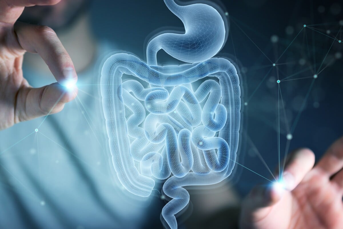 Postbiotics: How Your Gut Can Supercharge Your Brain and Energy Levels