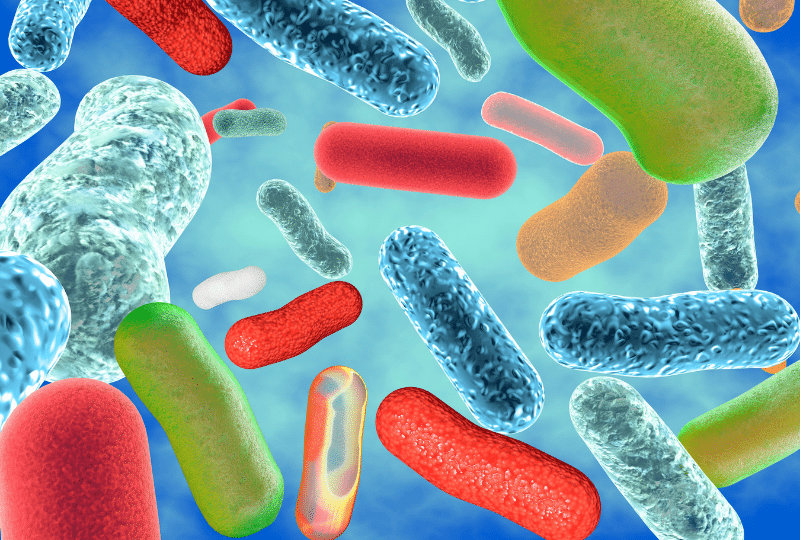 Is Holistic Microbiome Health the Key to Performance?