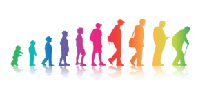 Your Crash Course On Mindblowing New Aging Science: Senolytics 101