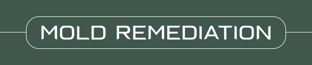 A dark green rectangular banner featuring the white, bold text MOLD REMEDIATION centered inside a rounded rectangle outline, perfect for highlighting biohacking products and solutions.