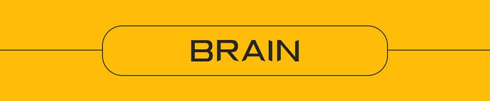 Yellow rectangular banner featuring the word BRAIN in bold, black, uppercase letters centered in a rounded box—perfect for highlighting 2026 biohacking products. Thin black lines extend to the image edges.