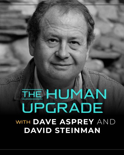 David Steinman