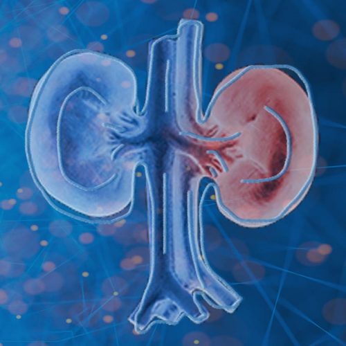 adrenal fatigue treatment and symptoms