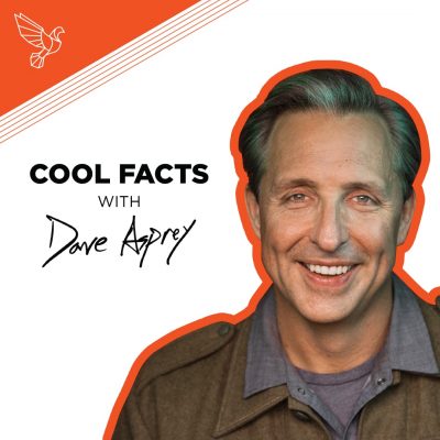 Cool Facts Dave Instagram