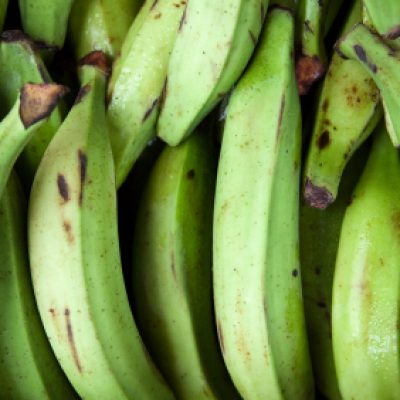 resistant starch