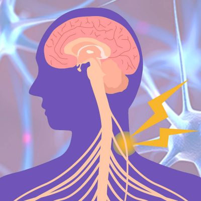 Vagus Nerve Affects Memory_header