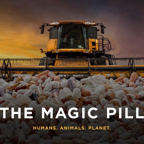 documentary-magic-pill-header