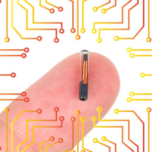 RFID chip on fingertip